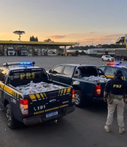 PRF encontra 900 quilos de maconha em pneus na BR-277
