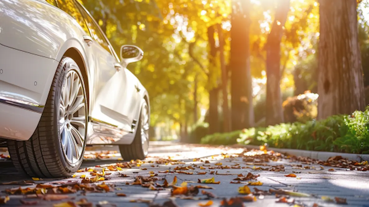 Pneus Dunlop ou Michelin? Análise Comparativa