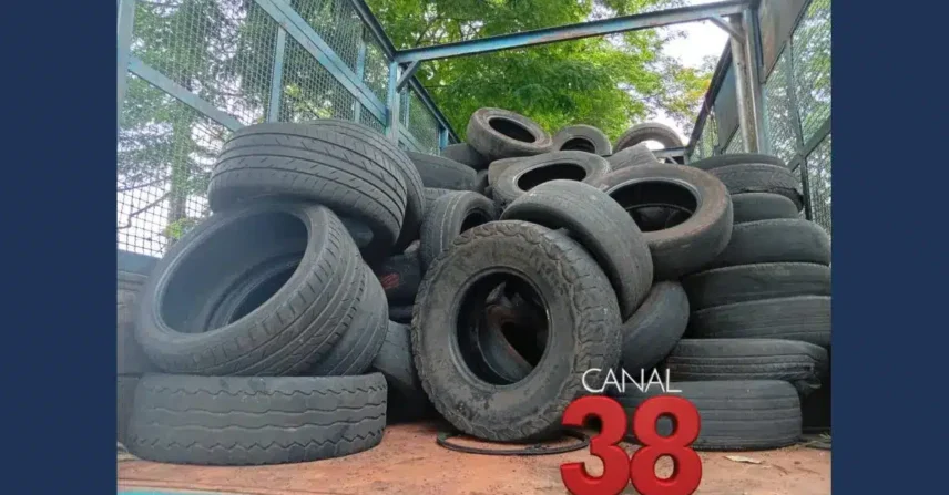 Apucarana realiza Bota Fora de Pneus e recolhe mais de duas mil