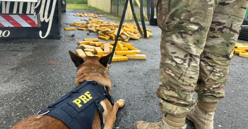 PRF encontra meia tonelada de drogas em pneus de carreta na BR-277