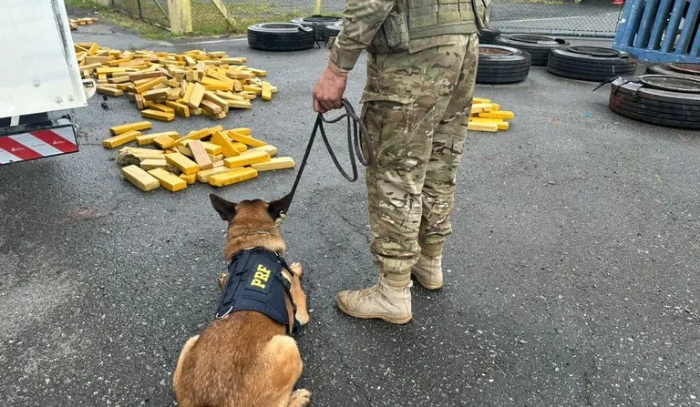 PRF localiza 500 kg de maconha escondidos em pneus no Paraná