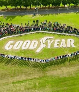 Goodyear é reconhecida com prêmio Reclame Aqui na categoria pneus