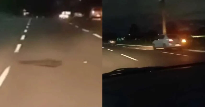 Buraco danifica pneus de veículos parados na avenida Lúdio Coelho