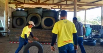 Mutirão do dia D coleta 231 pneus no combate ao Aedes