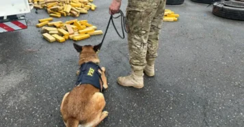 PRF encontra 472 kg de maconha escondidos em pneus na BR-277