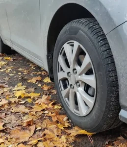 Causas da queda e como fazer ajustes necessários