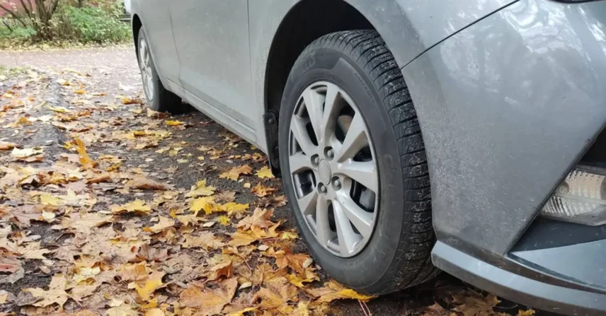 Causas da queda e como fazer ajustes necessários